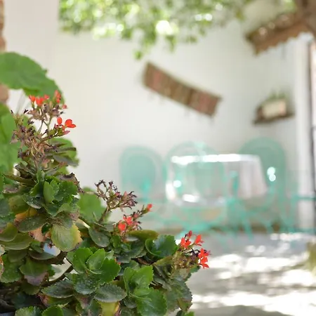 ゲストハウス Zeytinli Konak *