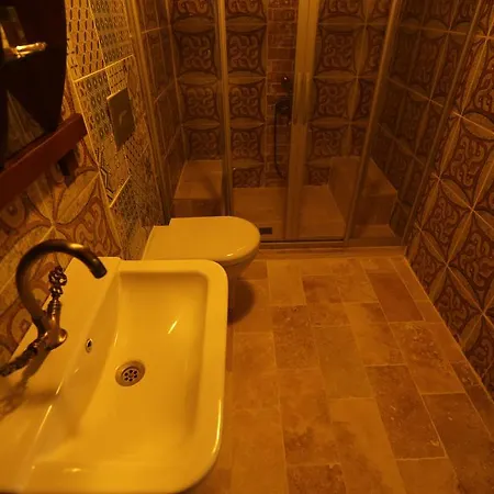 ゲストハウス Zeytinli Konak