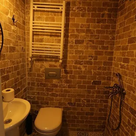 ゲストハウス Zeytinli Konak *