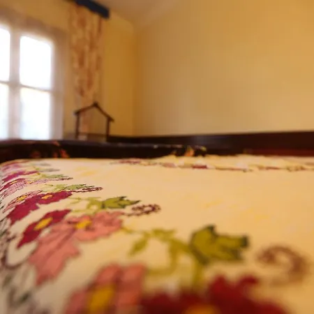 Zeytinli Konak セルチュク