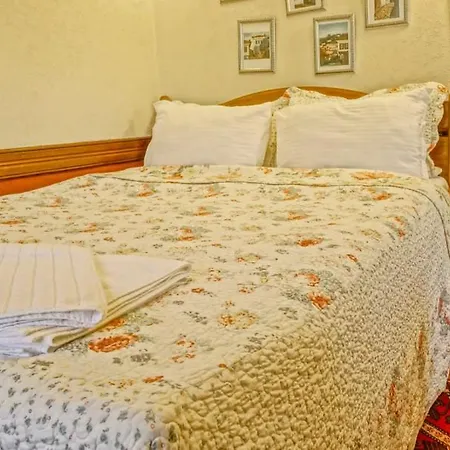 Zeytinli Konak * セルチュク