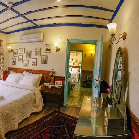 ゲストハウス Zeytinli Konak セルチュク