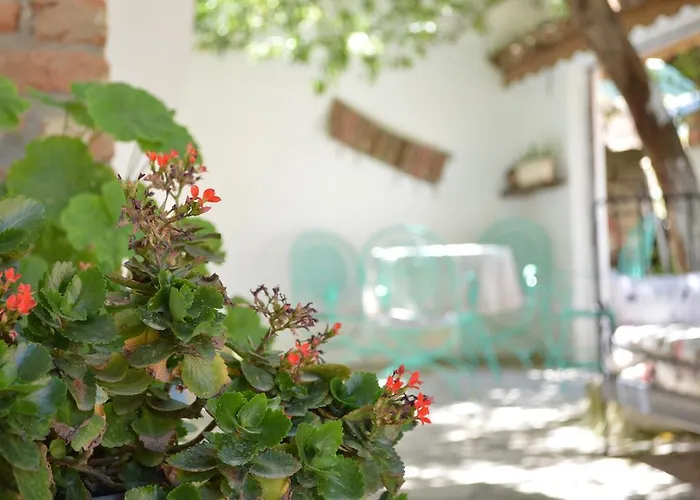 Guest house Zeytinli Konak *