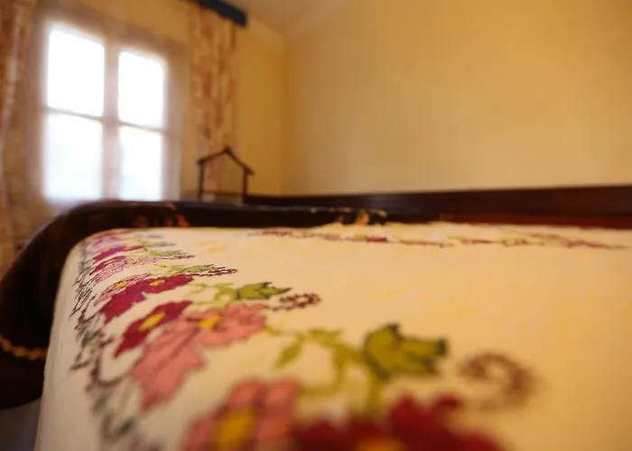 Zeytinli Konak Selcuk