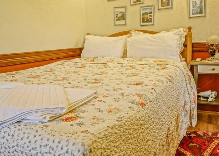 Zeytinli Konak * Selcuk