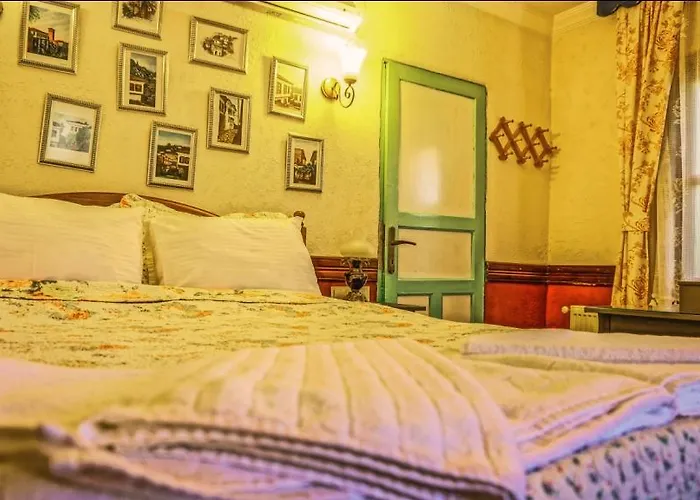 Zeytinli Konak Konukevi Selçuk