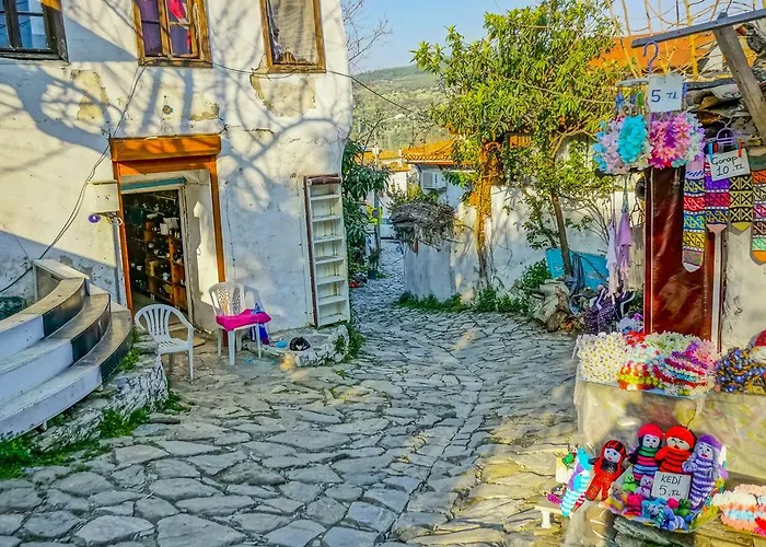 Guest house Zeytinli Konak *