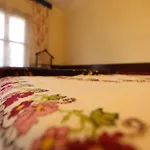 Zeytinli Konak سلجوك