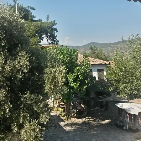 Zeytinli Konak بيت ضيافة *