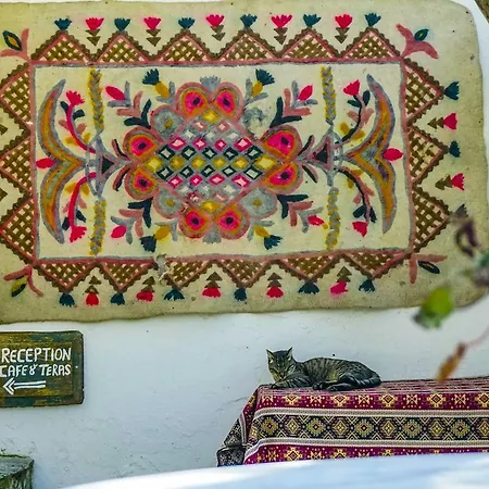 Zeytinli Konak Pensiune *