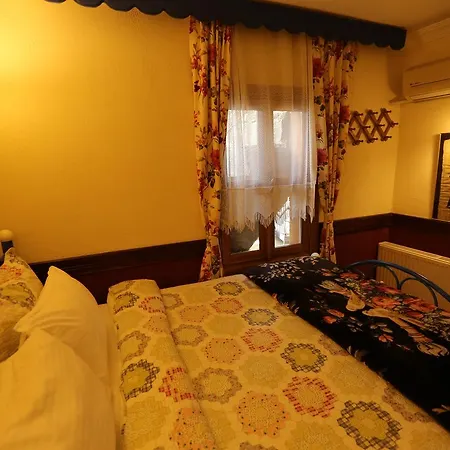Zeytinli Konak سلجوك