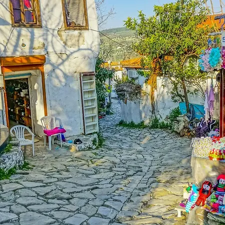 بيت ضيافة Zeytinli Konak *