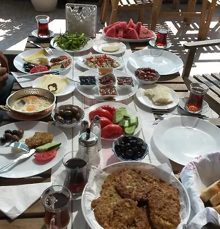 Zeytinli Konak בית הארחה סלצ'וק