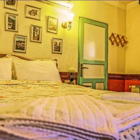 Zeytinli Konak בית הארחה סלצ'וק