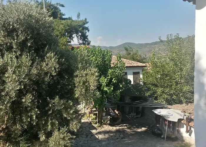 Zeytinli Konak بيت ضيافة *