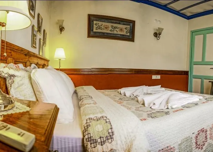 بيت ضيافة Zeytinli Konak سلجوك